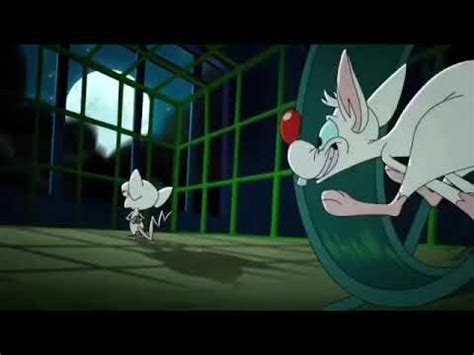 Pinky and The Brain reboot intro but it’s on nickelodeon - YouTube