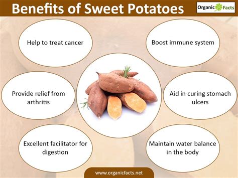 sweetpotatoinfographic | Sweet potato benefits, Healthy fruits and vegetables, Healing food