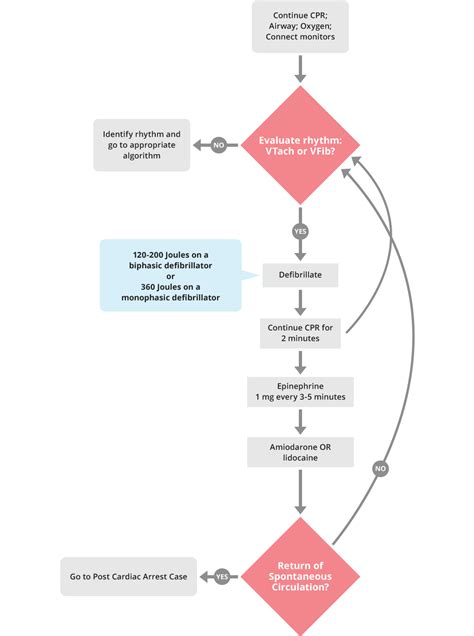 ACLS Cardiac Arrest VTach and VFib Algorithm - ACLS Medical Training