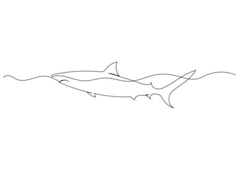 Shark Line Drawing Vector Art, Icons, and Graphics for Free Download