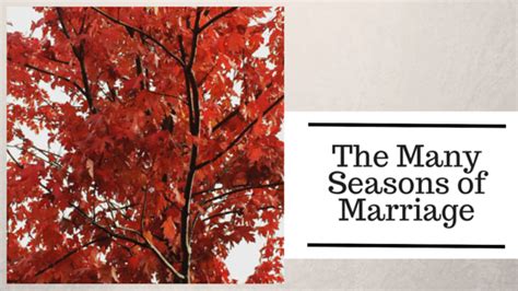 The Many Seasons of Marriage | 4tunate