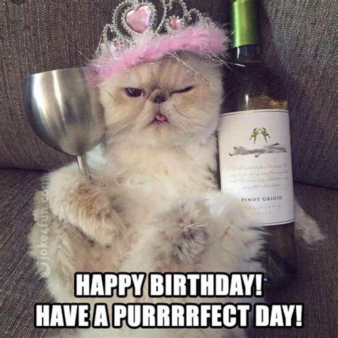 Pin by Mimsy R. on Birthday, Age, Anniversary | Happy birthday funny cats, Cat birthday memes ...