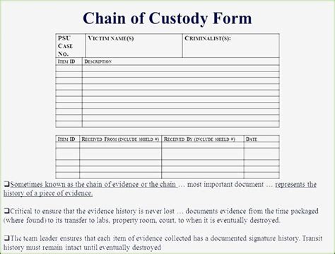 Printable Chain Of Custody Form Template