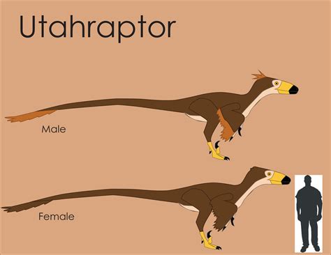 Utahraptor Size Comparison by LouJunior on DeviantArt