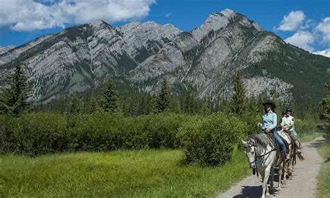 Banff Trail Riders - Banff Trail Riders | Groupon