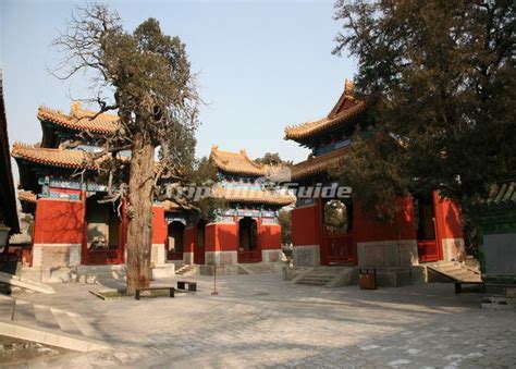 Buildings of Beijing Confucian Temple - Beijing Confucian Temple Photos