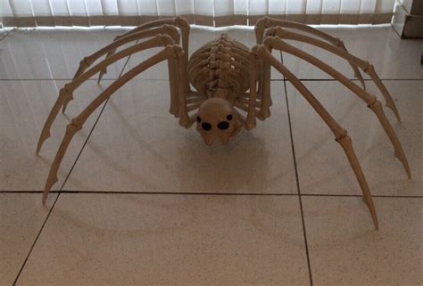 Halloween Large Spider Skeleton | in York, North Yorkshire | Gumtree