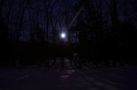 Snowy Winter Woods Full Moon at Night | Eric Sonstroem | Flickr