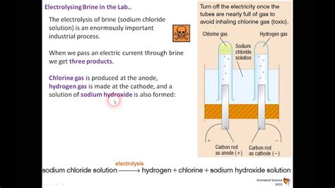 Electrolysis Of Brine Half Equations - Tessshebaylo