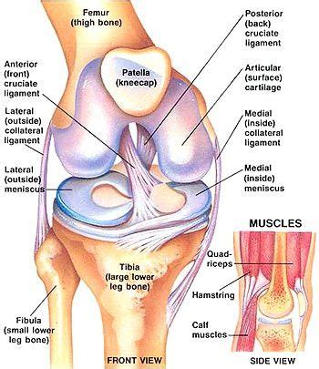 5 Common Types of Knee Injuries and Treatment - Costa Mesa Physical Therapy