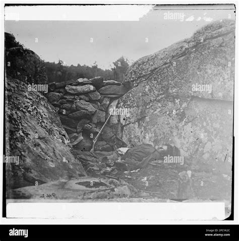 Gettysburg, Pennsylvania. Body of Confederate sharpshooter. Civil war ...