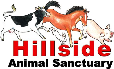 Hillside Animal Sanctuary - My Vegan Town