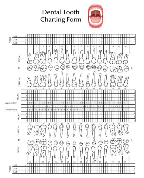 Printable Dental Chart