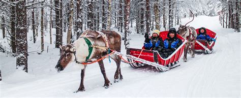 Snowmobile Safari to Reindeer Farm with Short Sleigh Ride - Lapland Welcome in Finland