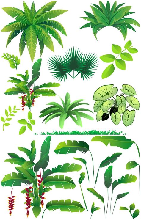 Rainforest Plants And Trees Clipart - Clipart Kid | Rainforest plants ...