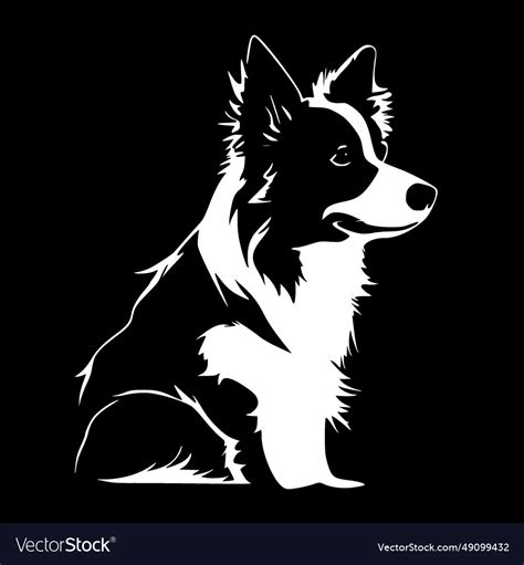 Border collie - black and white isolated icon Vector Image