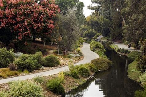 UC Davis Arboretum and Public Garden Invites Staff and Students to 'Adapting and Growing for the ...