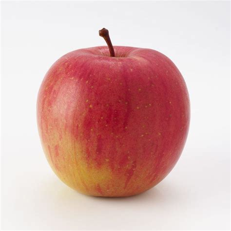 Fuji (apple) - Alchetron, The Free Social Encyclopedia