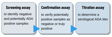 Immunogenicity testing of biotherapeutics | FyoniBio