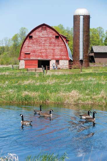 Farm pond maintenance – Artofit