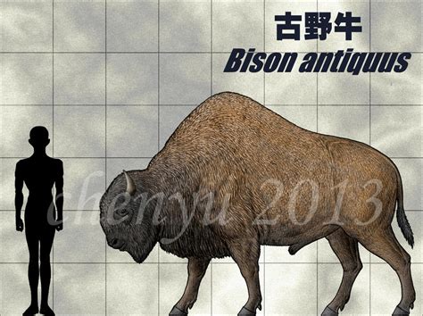 Bison antiquus by sinammonite on DeviantArt