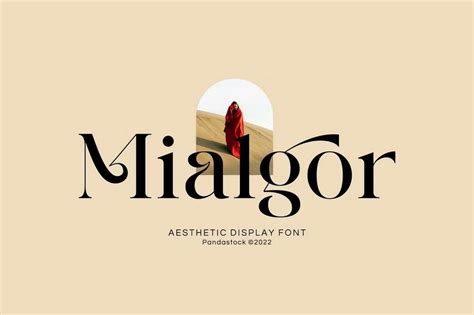 25+ Modern, Elegant Fonts with Classy Designs - Theme Junkie