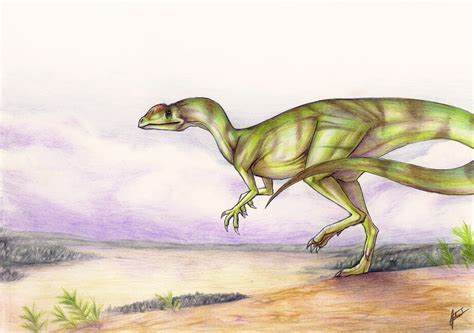 Liliensternus Pictures & Facts - The Dinosaur Database