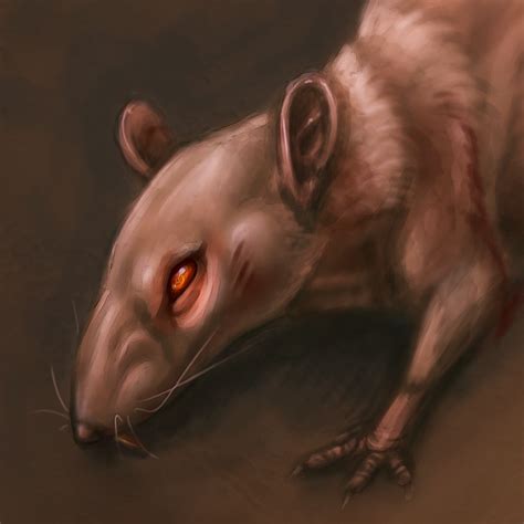 Evil Rat Drawing at GetDrawings | Free download