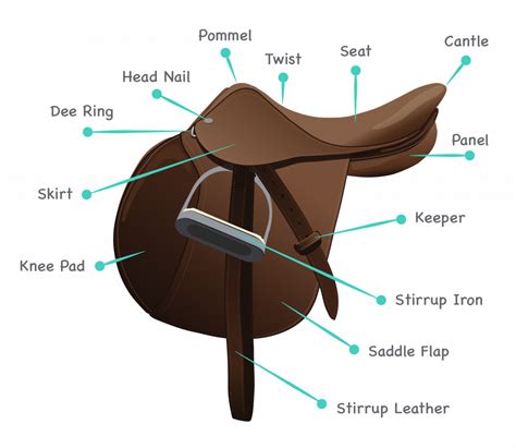 horse harness diagram parts - Wiring Diagram and Schematics