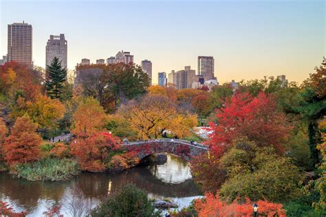 The Best Places to See Fall Foliage in Central Park