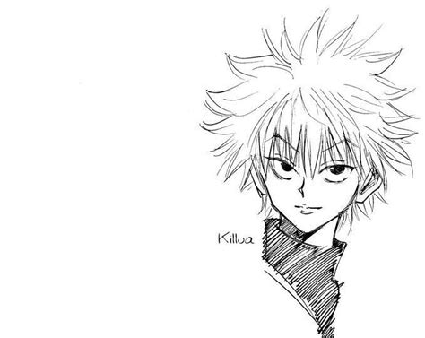 Hunter x Hunter: Why Gon and Killua may never return to the manga ...