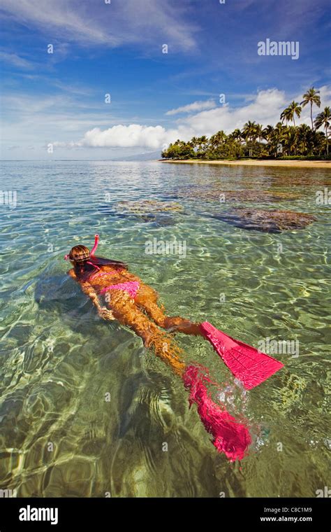 An athletic woman snorkeling in Lahaina, Maui, Hawaii Stock Photo - Alamy