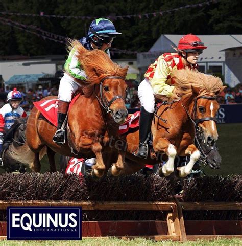 Shetland pony racing | Shetland pony, Riding helmets, Pony