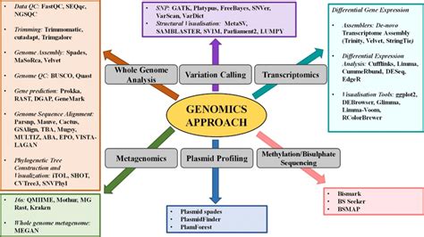 What Is Bioinformatics Genomics Education Programme - vrogue.co