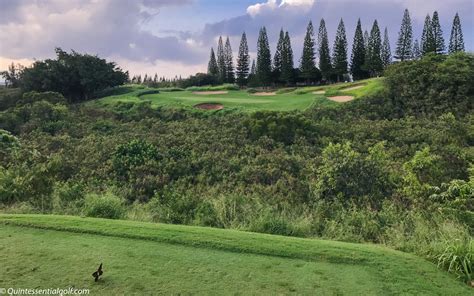 Kapalua Golf - Plantation Course - Quintessential Golf