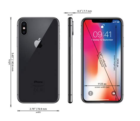 Apple iPhone 11 Pro Dimensions - Phones Size Chart in inches and mm