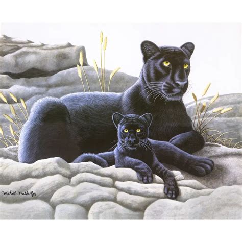 Decorative tiles with big cats-Black Panther and Cub-Tile Mural