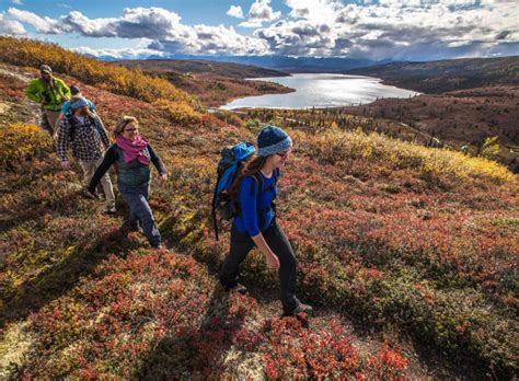 Denali Backcountry Lodge | Denali National Park