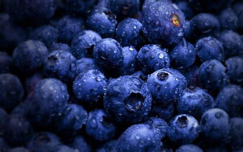 HD Blueberries Wallpaper - KoLPaPer - Awesome Free HD Wallpapers