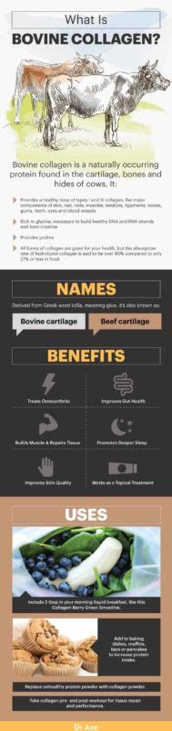 Bovine Collagen Benefits, Uses, Forms and More - Dr. Axe