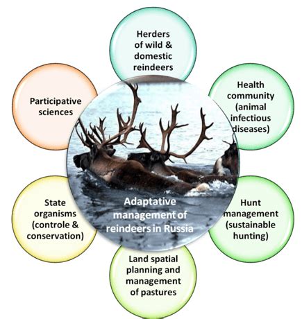 How Space Technologies are Transforming Wildlife Conservation – WildLIFE