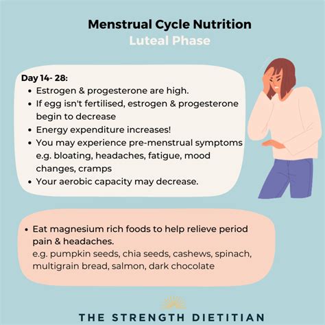 Cycle Syncing: What To Eat During Each Phase Of Your Menstrual Cycle ...