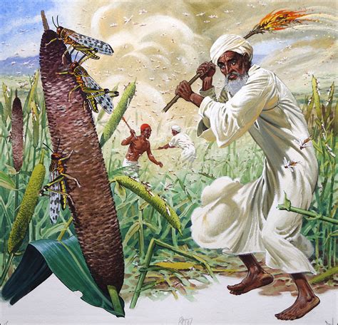 Locusts - Not only a Biblical Plague by Bernard Long at the Illustration Art Gallery