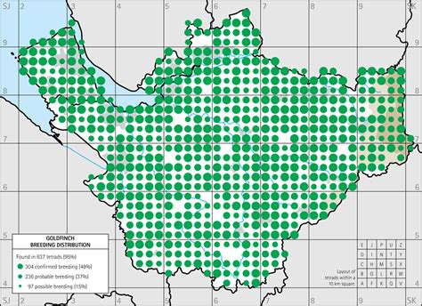 Goldfinch breeding distribution maps