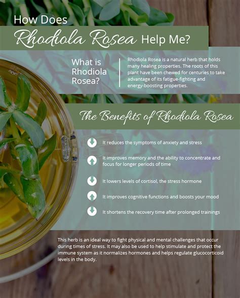 The Many Benefits of Rhodiola Rosea - Ameriden International, Inc ...