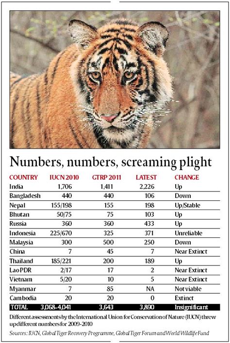 A mockery of both science and sensibility: What’s wrong with the tiger ...