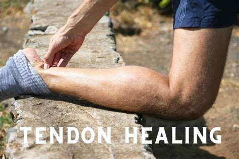 What is Tendon Healing & How to Improve Tendon Healing?