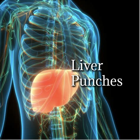 Liver Punch - FightWrite