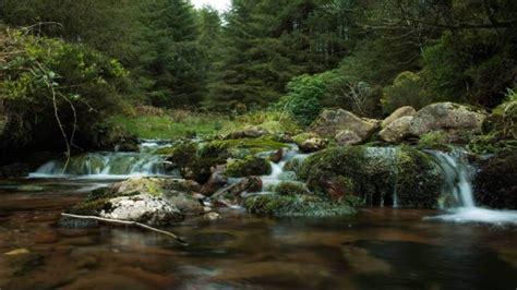 Walking Trails | Hikes in Tipperary | Ballykisteen Golf Hotel