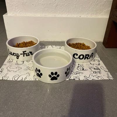 Design Your Own Funny Dog Gift Pet Food Bowl Water Bowl Cat Bowls ...